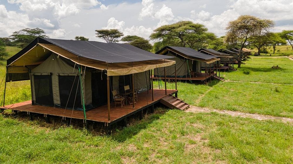Rangée de tentes de safari du camp Kenzan sur plateformes de bois dans la plaine du Serengeti