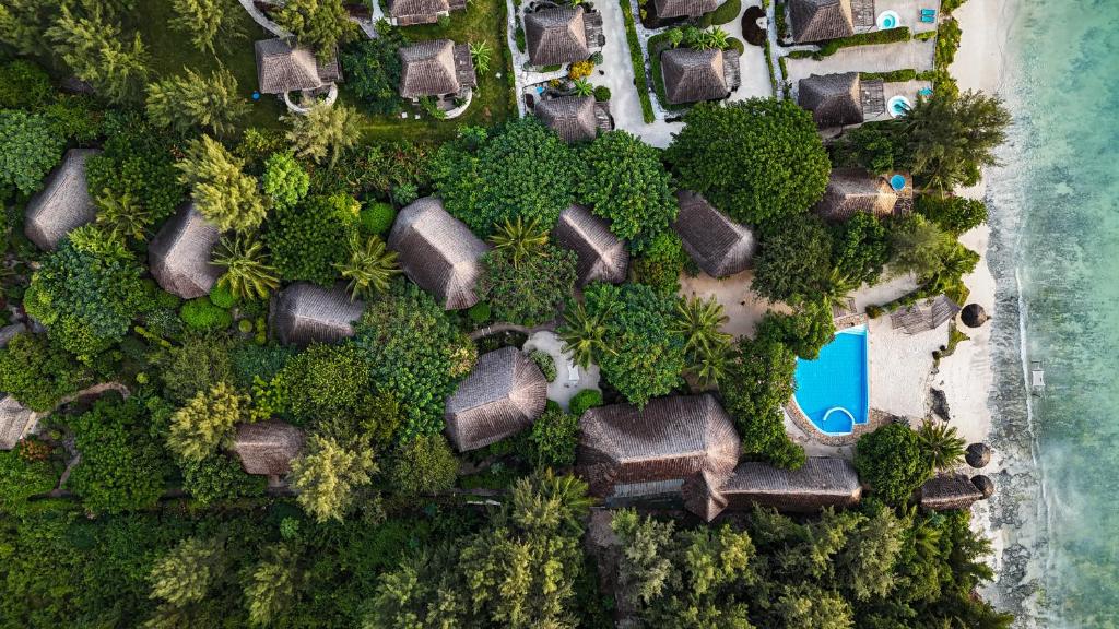 Vue aérienne du Marafiki Bungalow à Kiwengwa : bungalows toits de chaume dans la végétation tropicale, piscine turquoise et plage de sable blanc